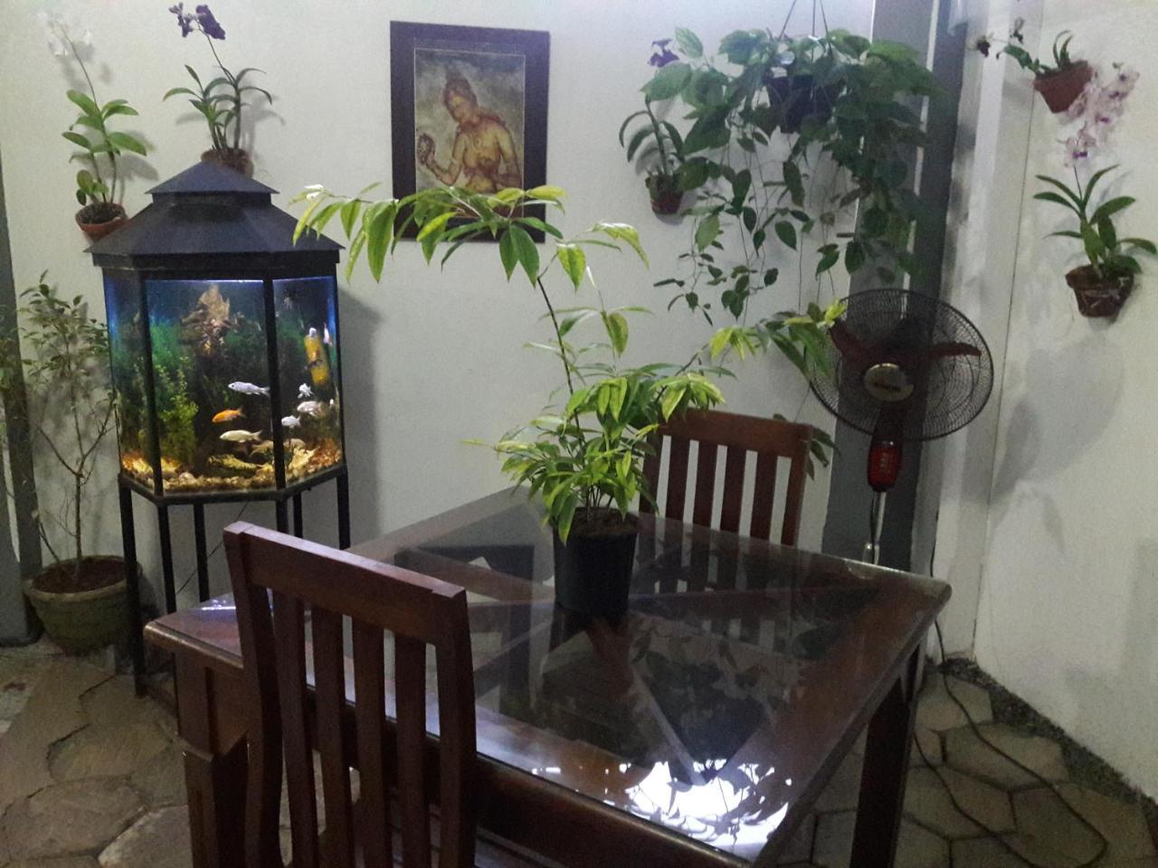 Aayu'S Guest Hotel Бентота Екстериор снимка
